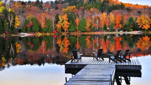 lake view in the fall