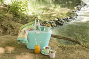 picnic by the lake