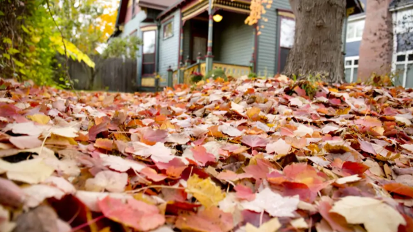 Fallen leaves in front of home during fall | Lake Homes Realty
