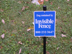 invisible fence