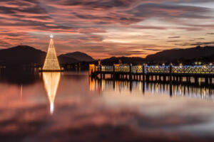 lighted Christmas tree over the water at sunset