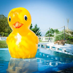 giant inflatable yellow rubber ducky in a pool 