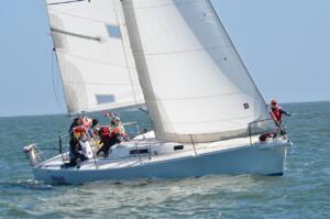 sailboat on the water