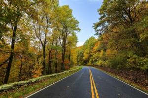 scenic autumn drive