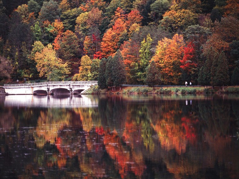 Serene lake during autumn with colorful trees