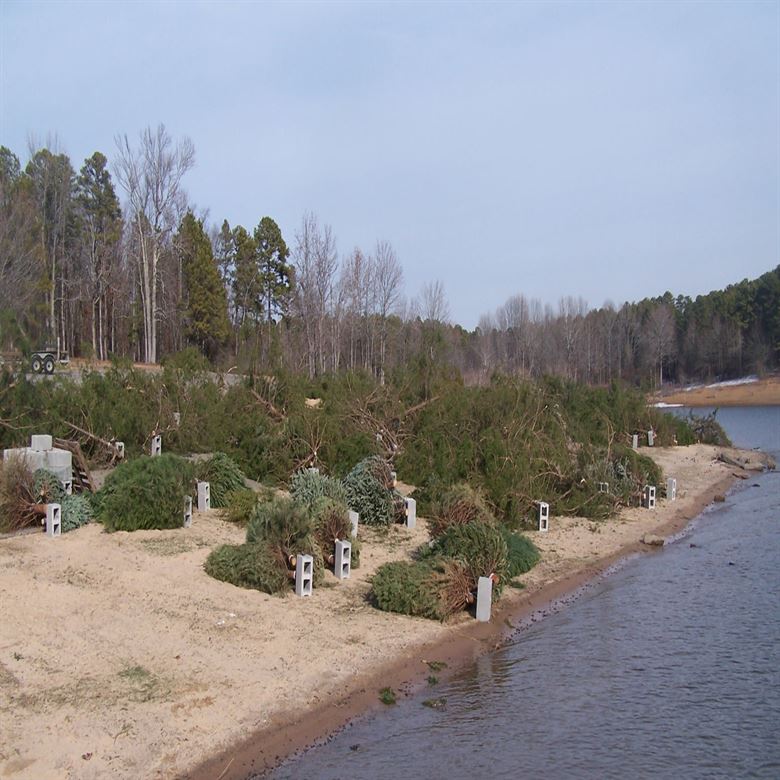 Christmas tree lake donation and drop off center 