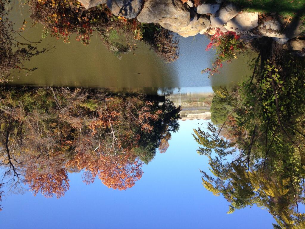 White Rock Lake during autumn with leaves changing colors Dallas Fort Worth