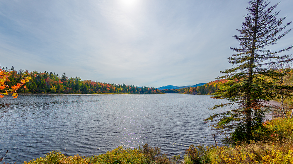 Rangeley Lakes closeup view