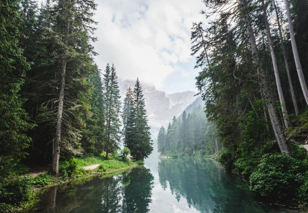 Evergreen trees on lake with cloudy sky over mountains