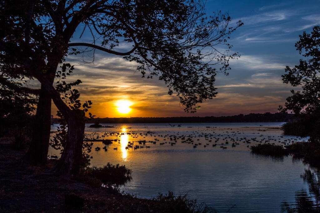 Sunset Bay, White Rock Lake, Dallas Texas