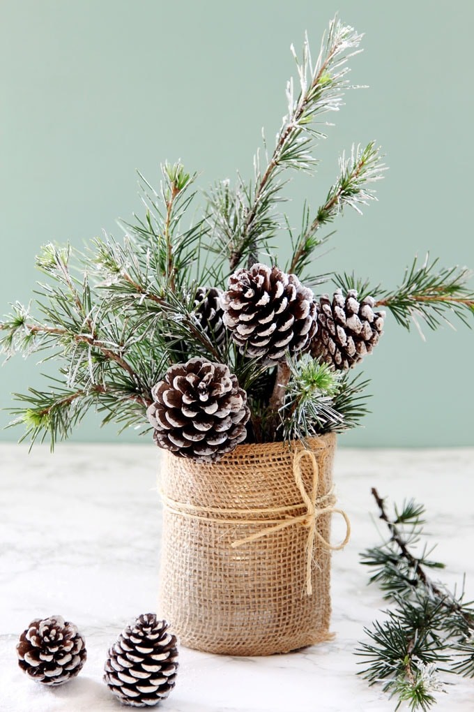 Evergreen sprigs as accent pieces in DIY vase