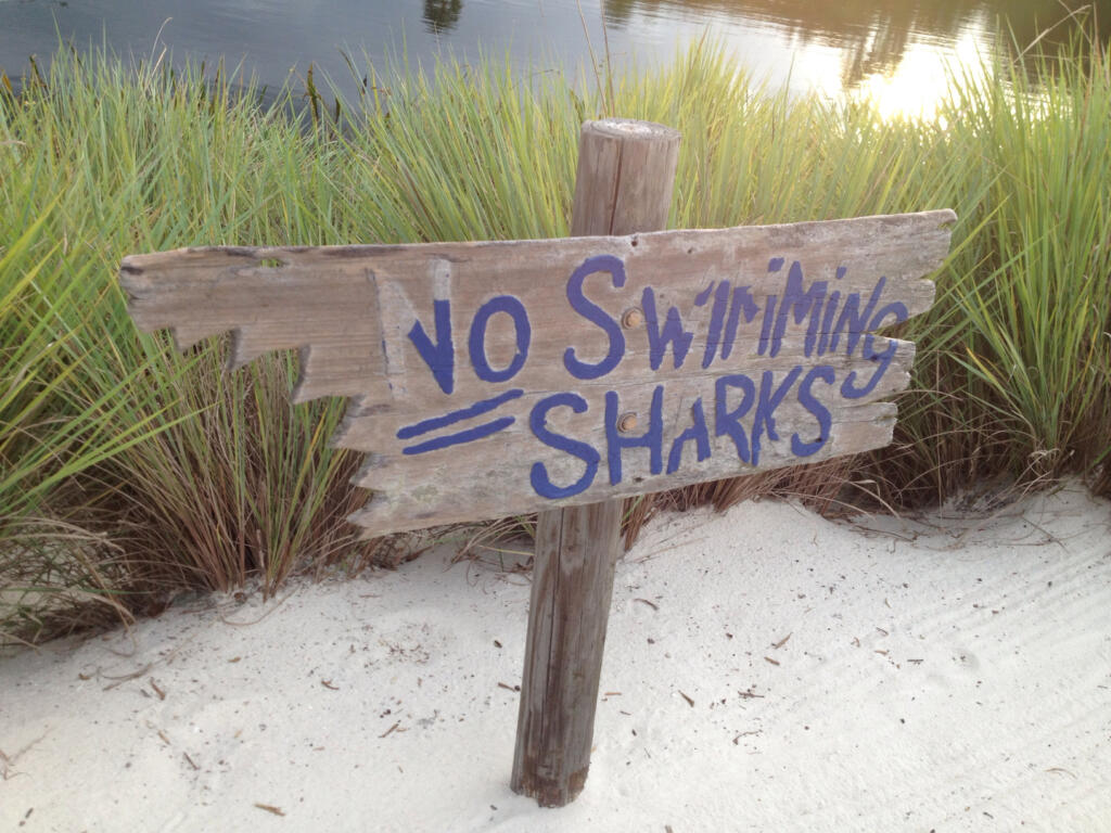No swimming sharks sign