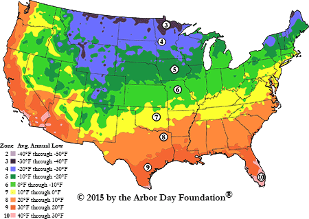 find your planting zone 80223