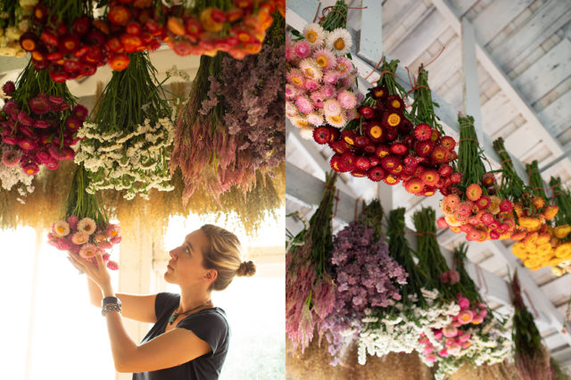 floret flowers drying hanging tips - lake house decorating ideas
