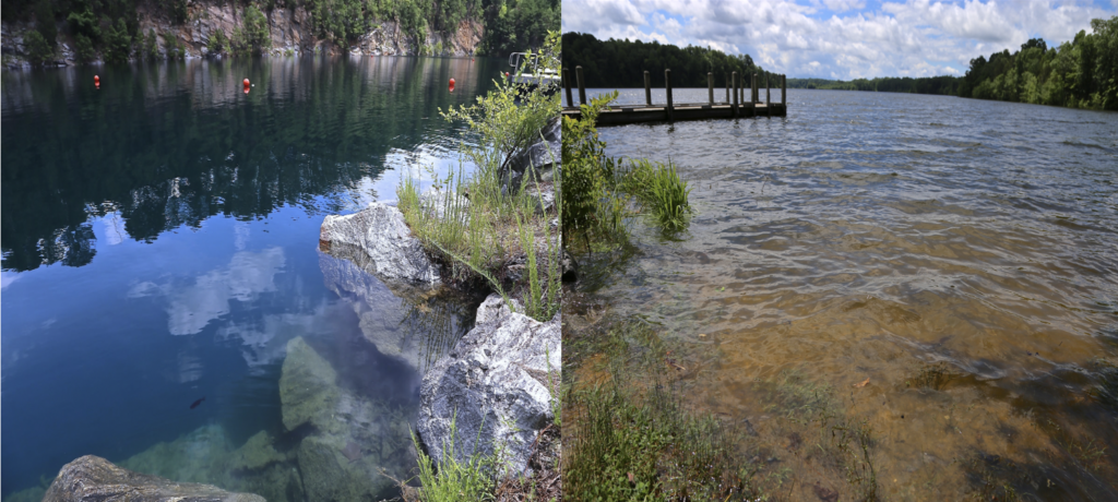 The Science Behind Clear and Murky Lakes