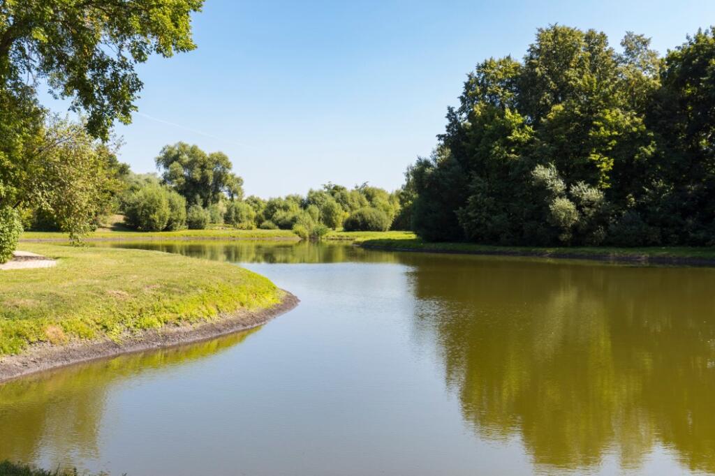 the-science-behind-clear-and-murky-lakes