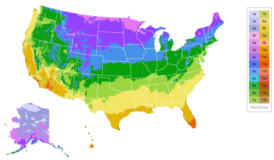 A Guide To Plant Hardiness At Your Lake Home: Zones 1-3