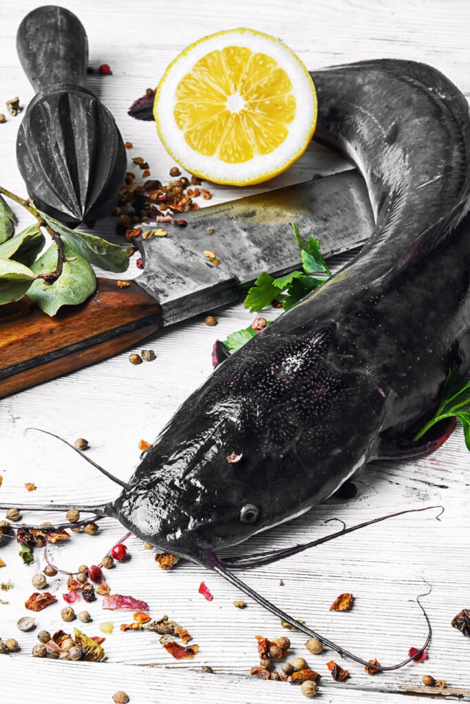 How to Clean and Prepare a Catfish