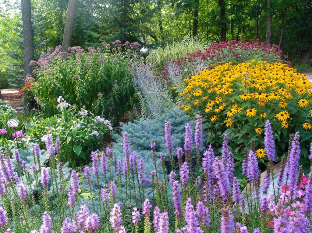 landscaping a lake house