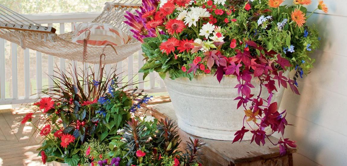 Deck Out Your Dock: Container Gardening at the Lake