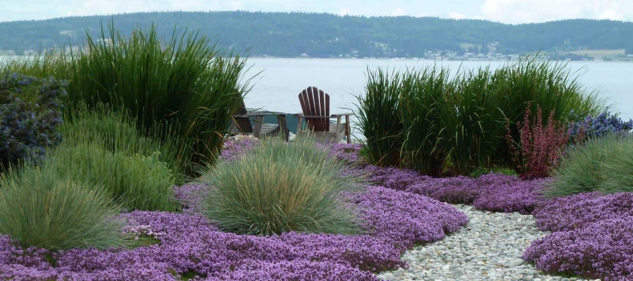 Xeriscaping Basics: Creating a Water-Wise Lake Landscape