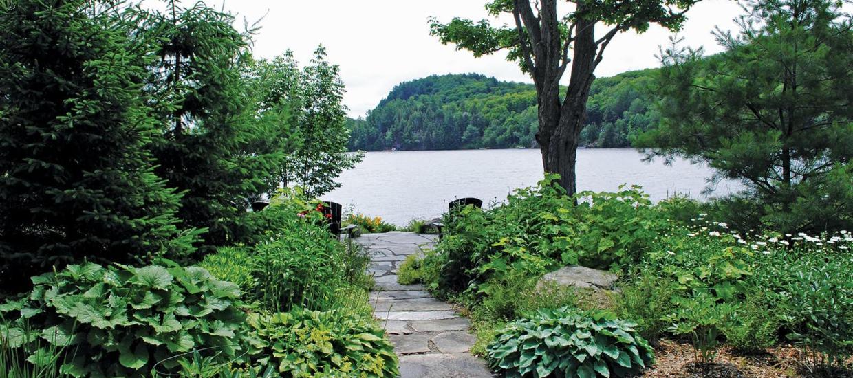 Softscapes 101: Lush Plantings for Your Lakeside Lawn