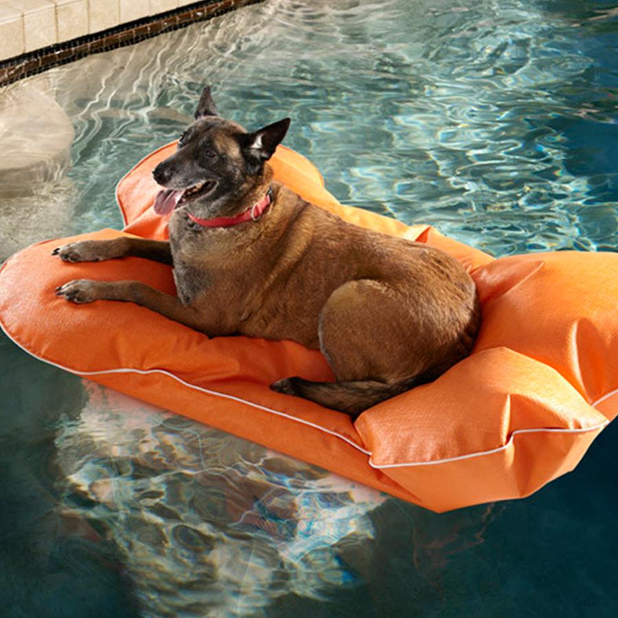 Best pool toys for 2024 dogs