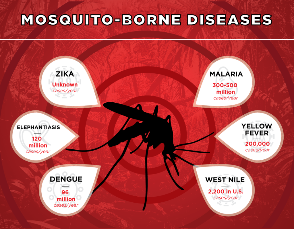 Mosquito Mythbusting 5 Facts and Myths about Mosquitoes