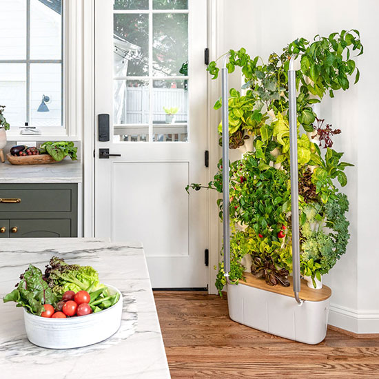 indoor vegetable garden system