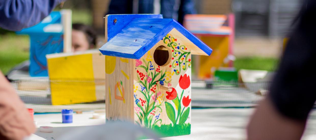 Best Birdhouse Kits for Your Backyard