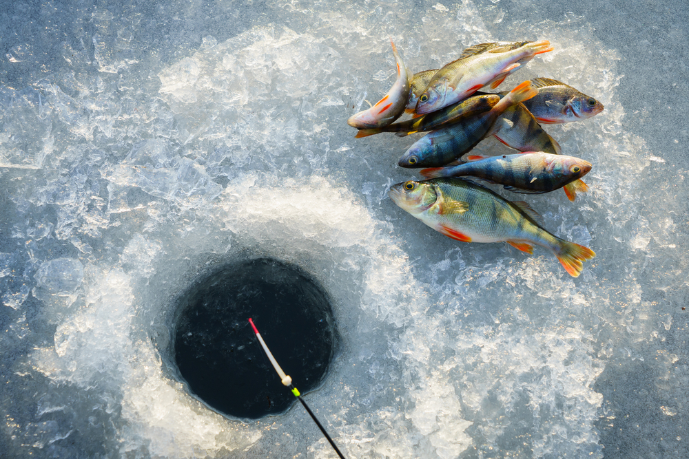 Go Fish: Electronic options for ice fishing, Connect With Us