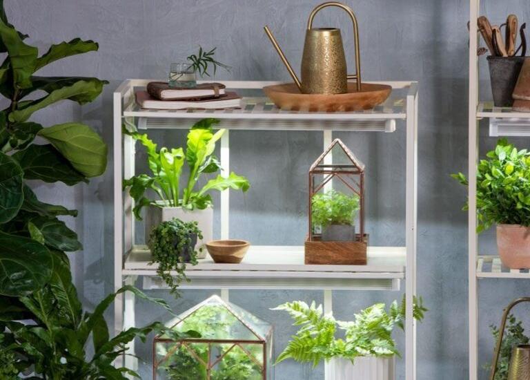 Top Grow Lights for Indoor Gardening