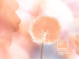 Pantone’s Color of the Year 2024 13-1023 Peach Fuzz hero image