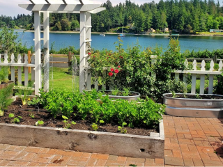 Raised garden beds and white arbor aginst a beautiful lake backdrop