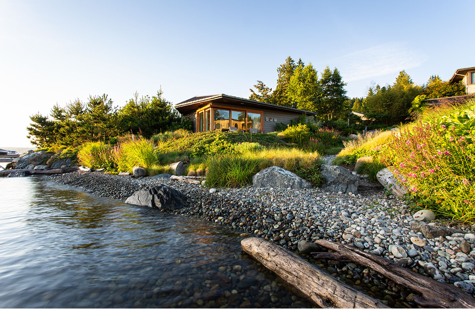 Wild landscaping for a Lake Washington property near Seattle, WA