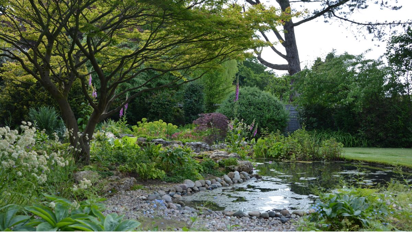 Woodland ground cover lancscaping from The Garden Company Homes & Gardens