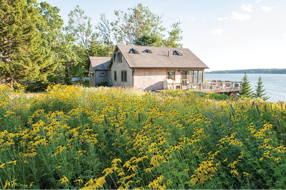 Pollinator-friendly wildflower meadow landscape in an Eastern lake region